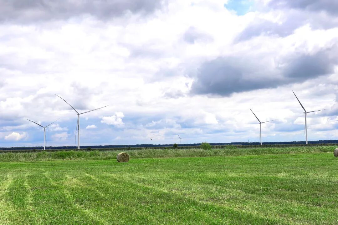 大绿色氢氨醇一体化项目风机吊装完成麻将胡